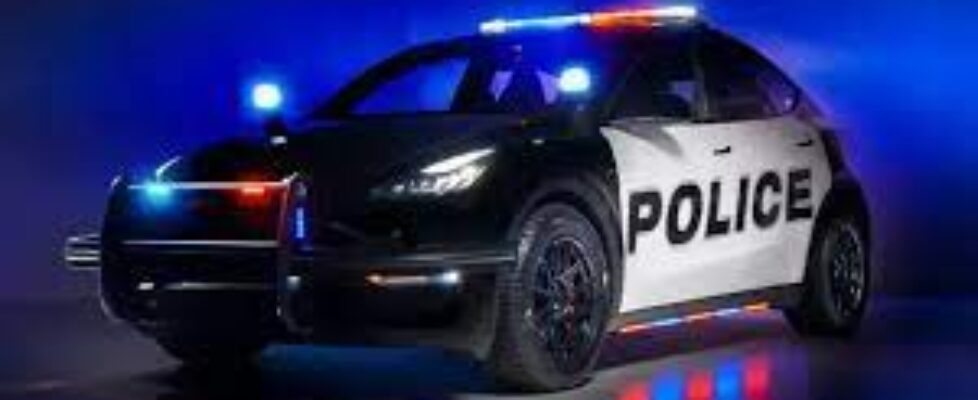 Texas school district creates own police force to be equipped with 9 Tesla cruisers